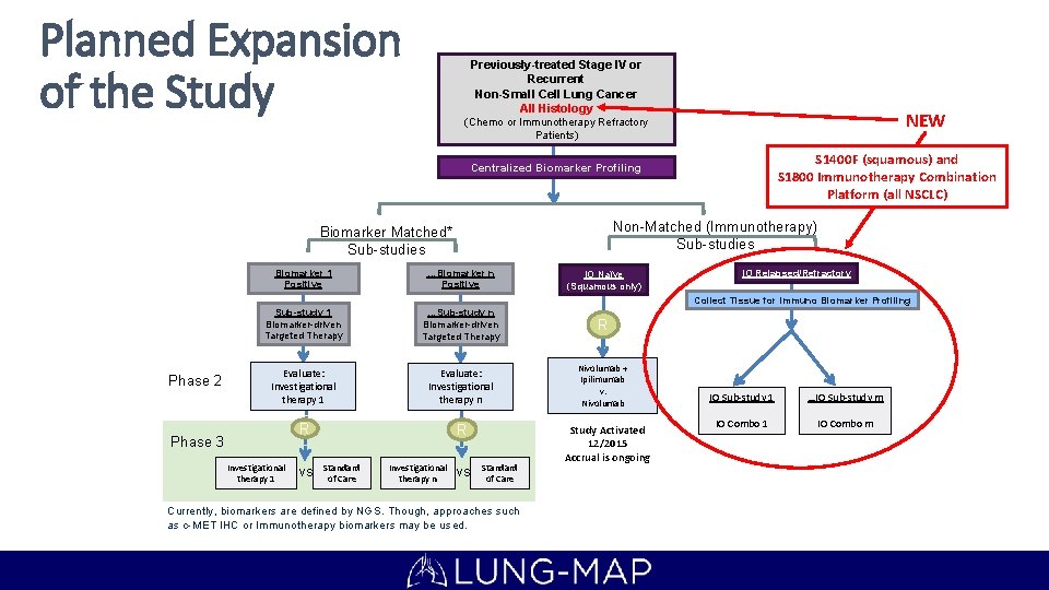 Planned Expansion of the Study Previously-treated Stage IV or Recurrent Non-Small Cell Lung Cancer