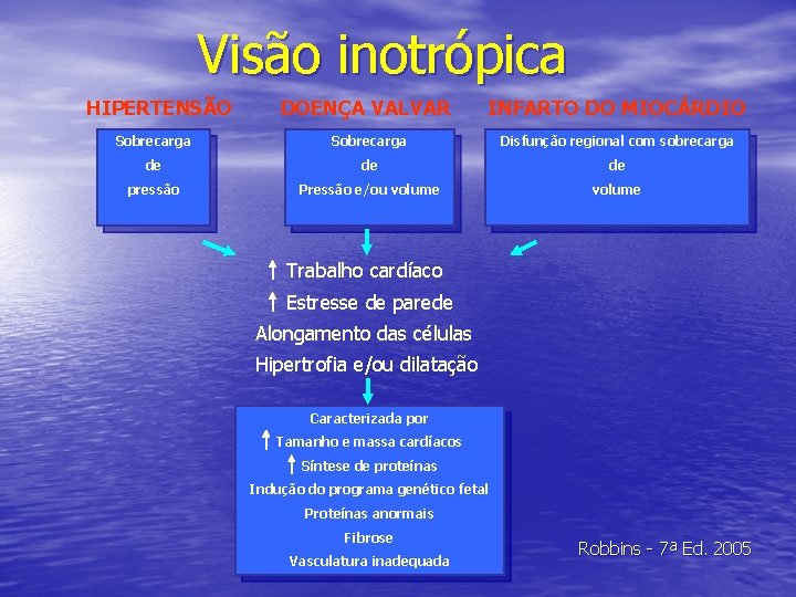 Visão inotrópica HIPERTENSÃO DOENÇA VALVAR INFARTO DO MIOCÁRDIO Sobrecarga Disfunção regional com sobrecarga de