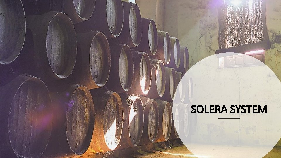 SOLERA SYSTEM 