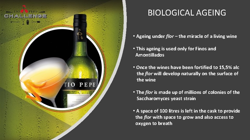 BIOLOGICAL AGEING • Ageing under flor – the miracle of a living wine •