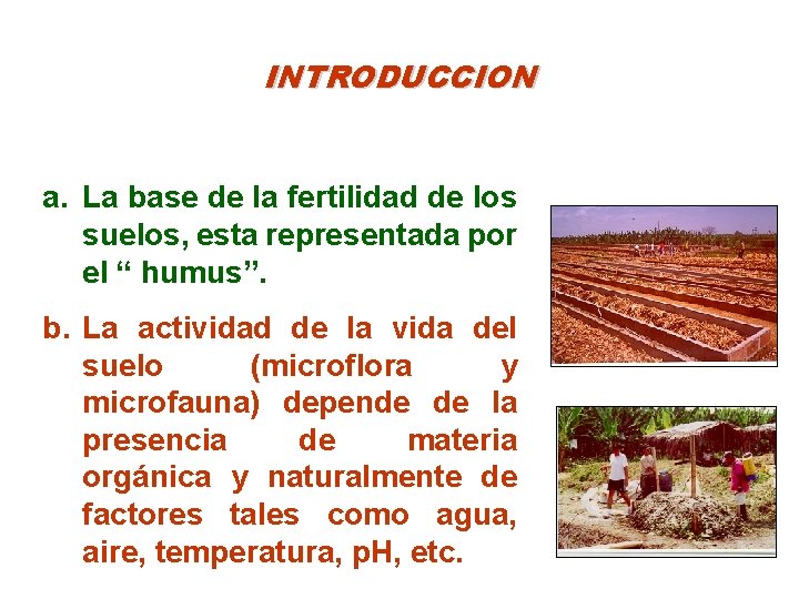 INTRODUCCION a. La base de la fertilidad de los suelos, esta representada por el