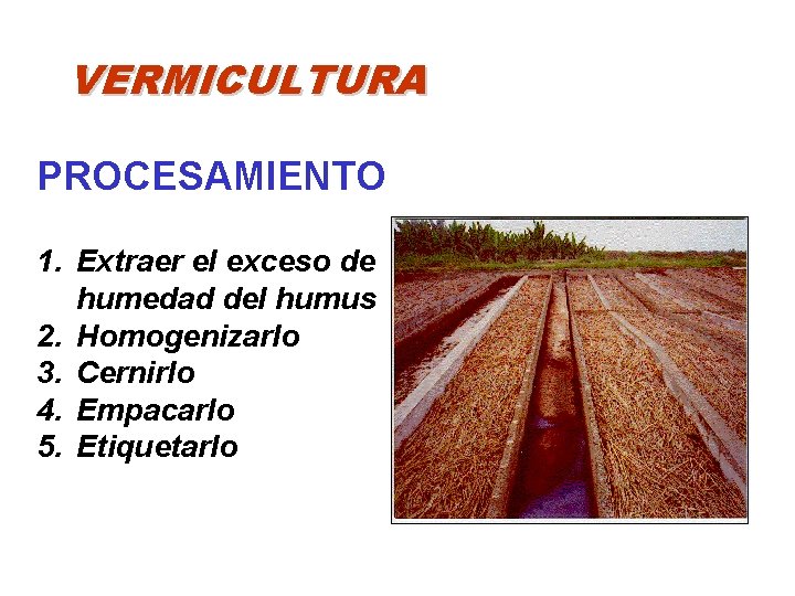 VERMICULTURA PROCESAMIENTO 1. Extraer el exceso de humedad del humus 2. Homogenizarlo 3. Cernirlo