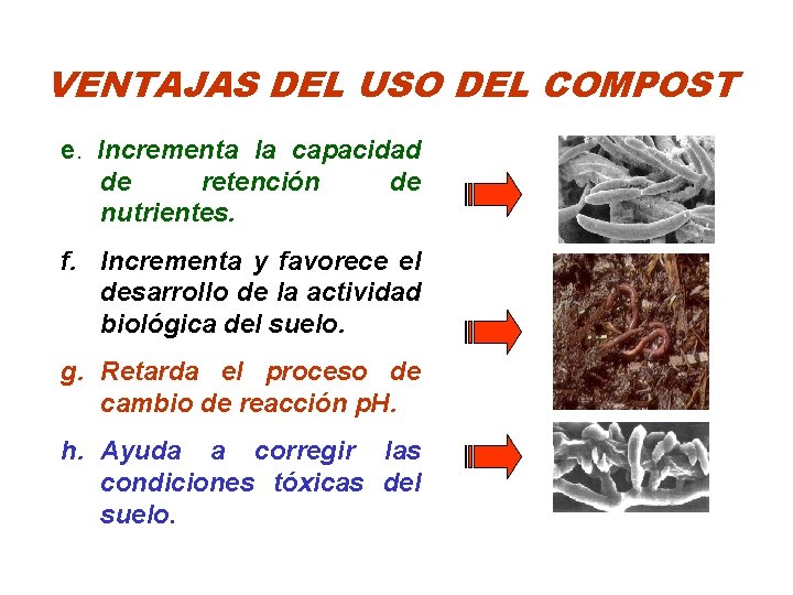 VENTAJAS DEL USO DEL COMPOST e. Incrementa la capacidad de retención de nutrientes. f.