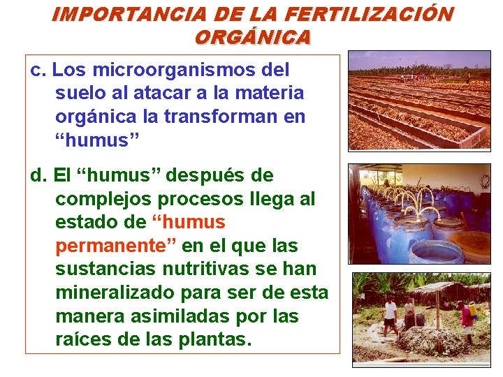 IMPORTANCIA DE LA FERTILIZACIÓN ORGÁNICA c. Los microorganismos del suelo al atacar a la