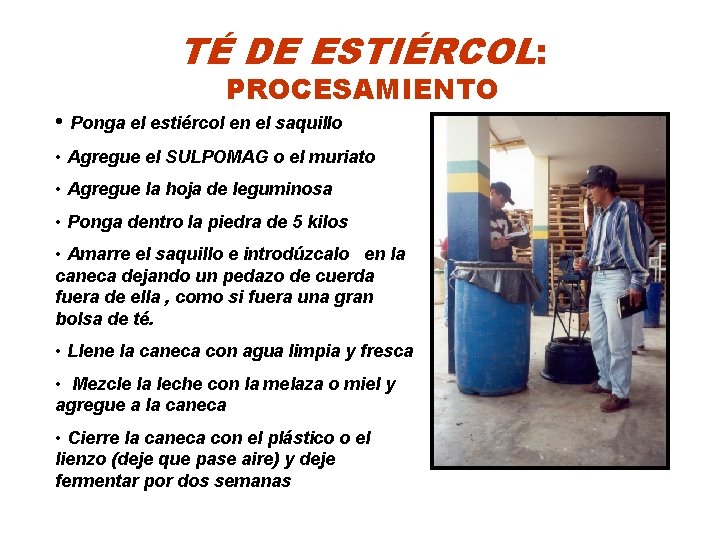 TÉ DE ESTIÉRCOL: PROCESAMIENTO • Ponga el estiércol en el saquillo • Agregue el
