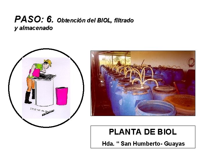 PASO: 6. Obtención del BIOL, filtrado y almacenado PLANTA DE BIOL Hda. “ San