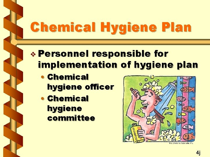 Chemical Hygiene Plan v Personnel responsible for implementation of hygiene plan • Chemical hygiene