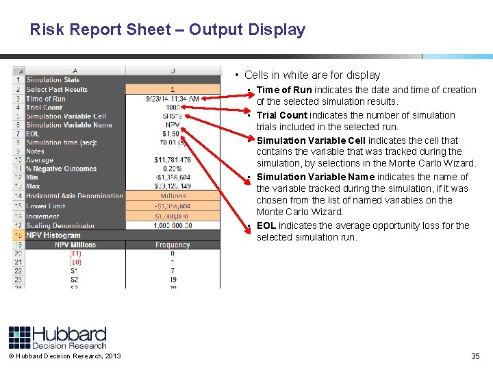 Risk Report Sheet – Output Display • Cells in white are for display •