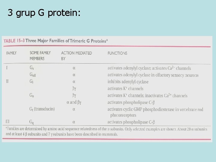 3 grup G protein: 