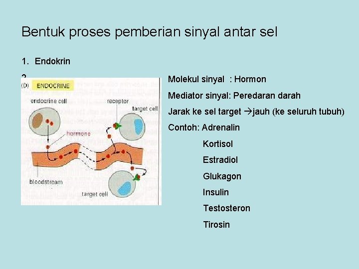 Bentuk proses pemberian sinyal antar sel 1. Endokrin 2. Molekul sinyal : Hormon Mediator