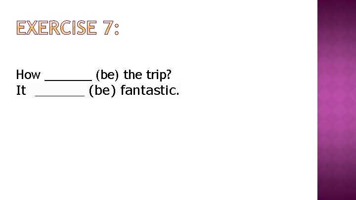 How _______ (be) the trip? It ______ (be) fantastic. 