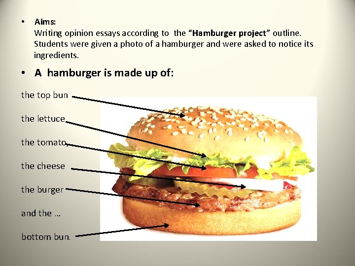  • Aims: Writing opinion essays according to the “Hamburger project” outline. Students were