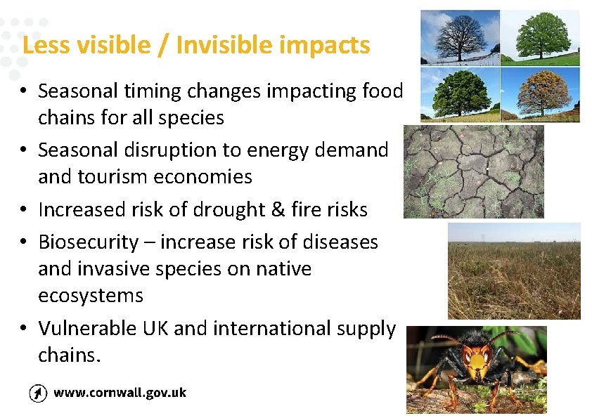 Less visible / Invisible impacts • Seasonal timing changes impacting food chains for all