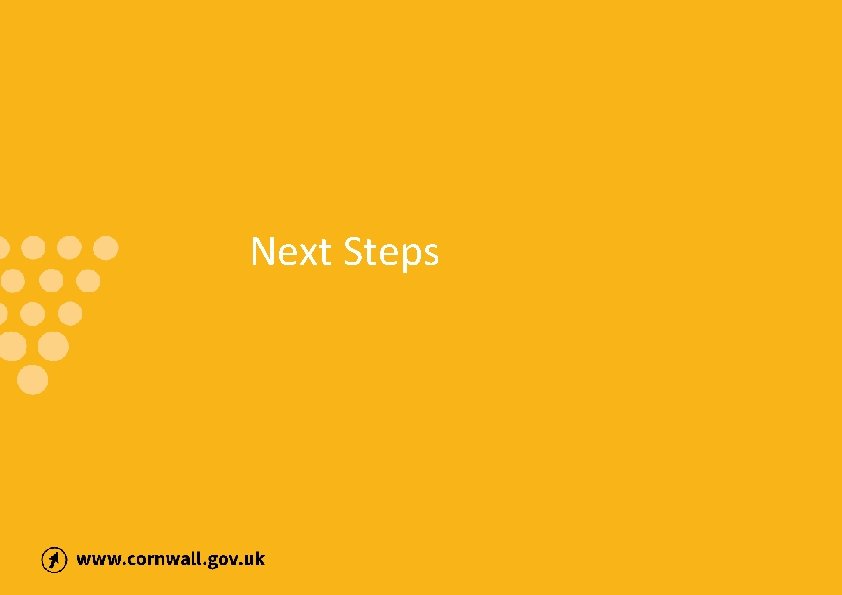 Next Steps 