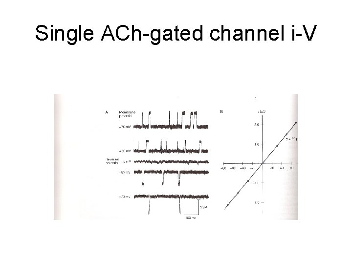 Single ACh-gated channel i-V 