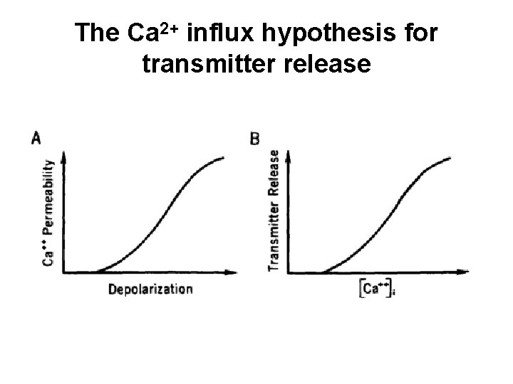 The Ca 2+ influx hypothesis for transmitter release 
