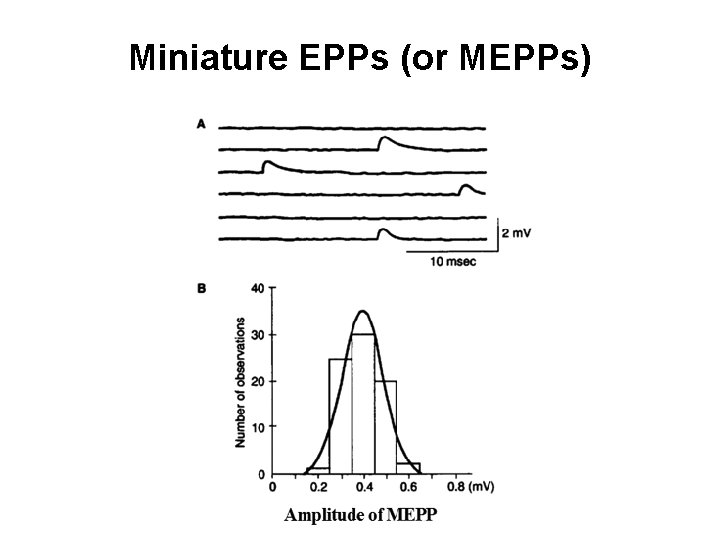 Miniature EPPs (or MEPPs) 