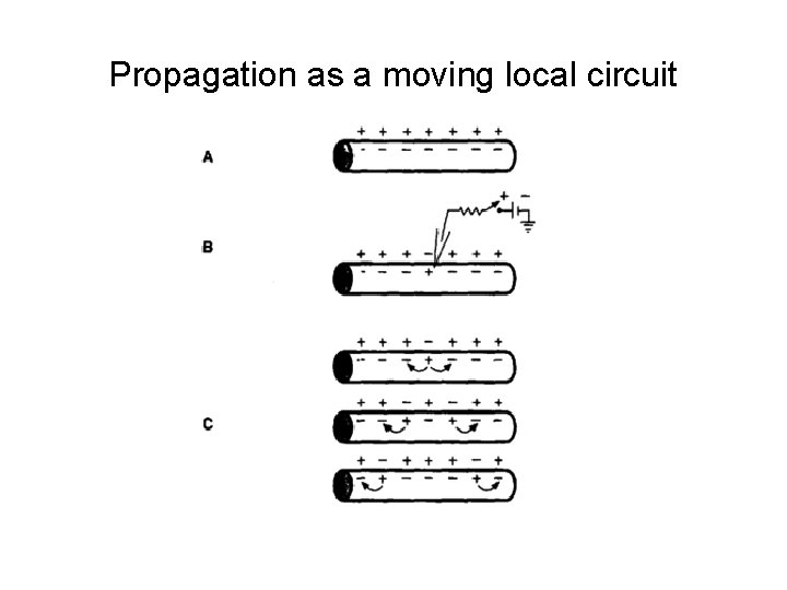 Propagation as a moving local circuit 