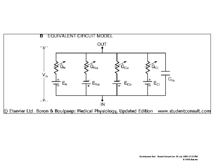 Downloaded from: Student. Consult (on 24 July 2006 10: 33 PM) © 2005 Elsevier