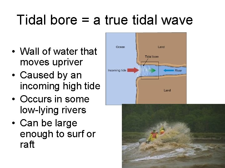 Tidal bore = a true tidal wave • Wall of water that moves upriver