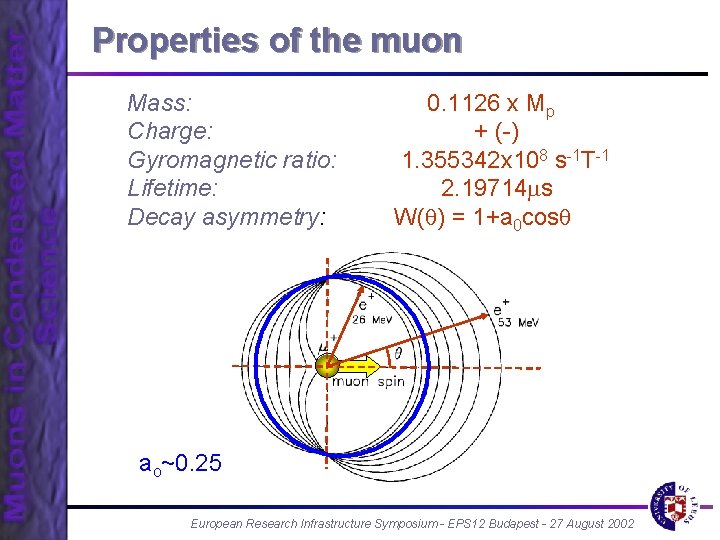 Properties of the muon Mass: Charge: Gyromagnetic ratio: Lifetime: Decay asymmetry: 0. 1126 x
