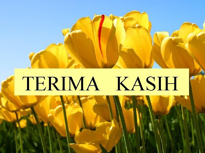 TERIMA KASIH 16 