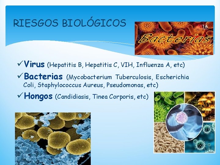 RIESGOS BIOLÓGICOS üVirus (Hepatitis B, Hepatitis C, VIH, Influenza A, etc) üBacterias (Mycobacterium Tuberculosis,