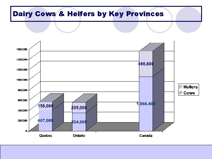 Dairy Cows & Heifers by Key Provinces Dairy Cows & Heifers by Key Provinces