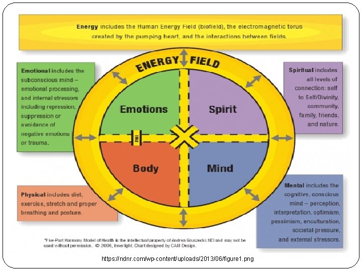 https: //ndnr. com/wp-content/uploads/2013/06/figure 1. png 