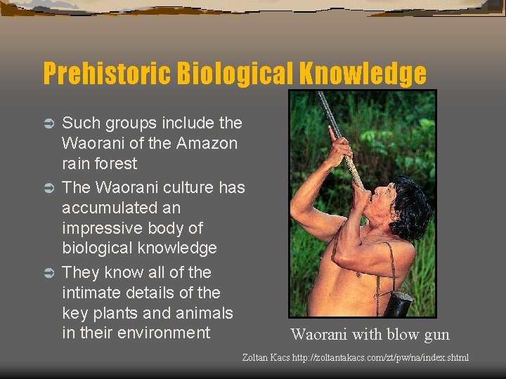 Prehistoric Biological Knowledge Such groups include the Waorani of the Amazon rain forest Ü