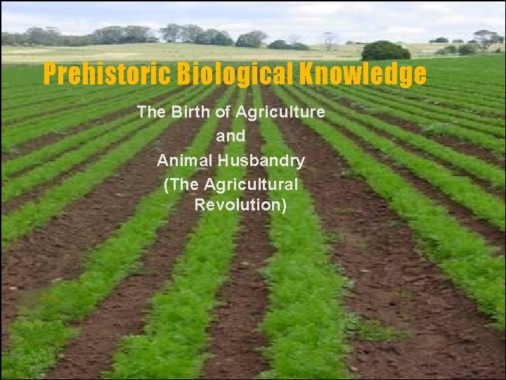 Prehistoric Biological Knowledge The Birth of Agriculture and Animal Husbandry (The Agricultural Revolution) 