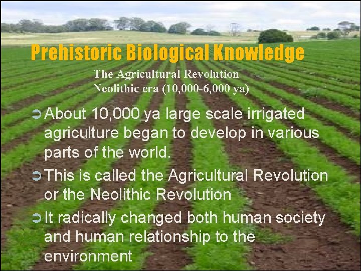 Prehistoric Biological Knowledge The Agricultural Revolution Neolithic era (10, 000 -6, 000 ya) Ü