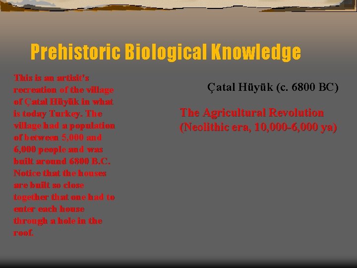Prehistoric Biological Knowledge This is an artisit's recreation of the village of Çatal Hüyük