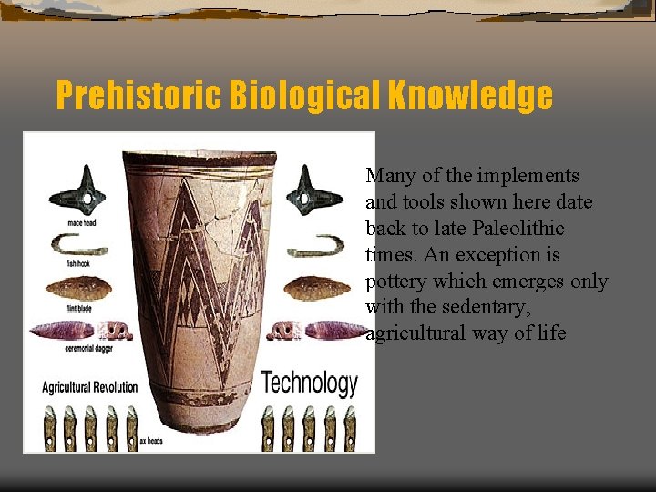 Prehistoric Biological Knowledge Many of the implements and tools shown here date back to