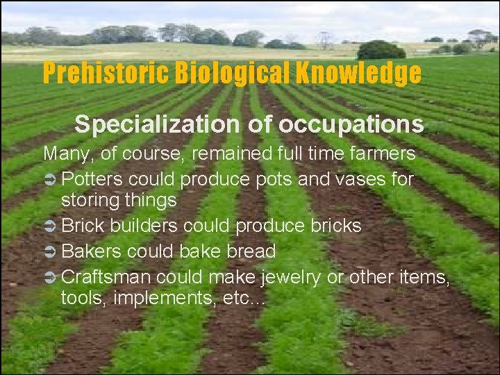 Prehistoric Biological Knowledge Specialization of occupations Many, of course, remained full time farmers Ü