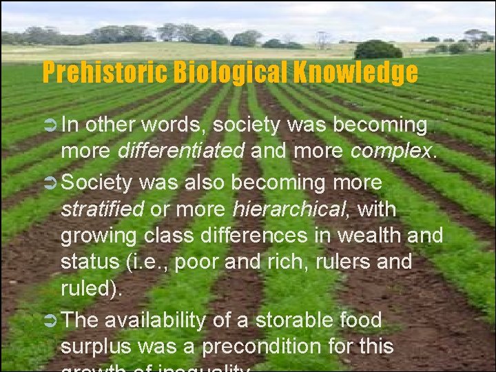 Prehistoric Biological Knowledge Ü In other words, society was becoming more differentiated and more