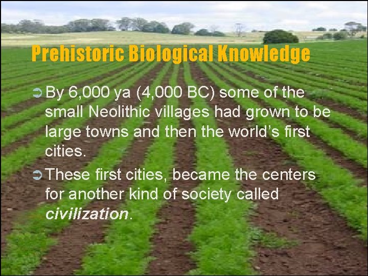 Prehistoric Biological Knowledge Ü By 6, 000 ya (4, 000 BC) some of the