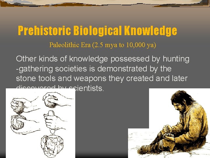 Prehistoric Biological Knowledge Paleolithic Era (2. 5 mya to 10, 000 ya) Other kinds