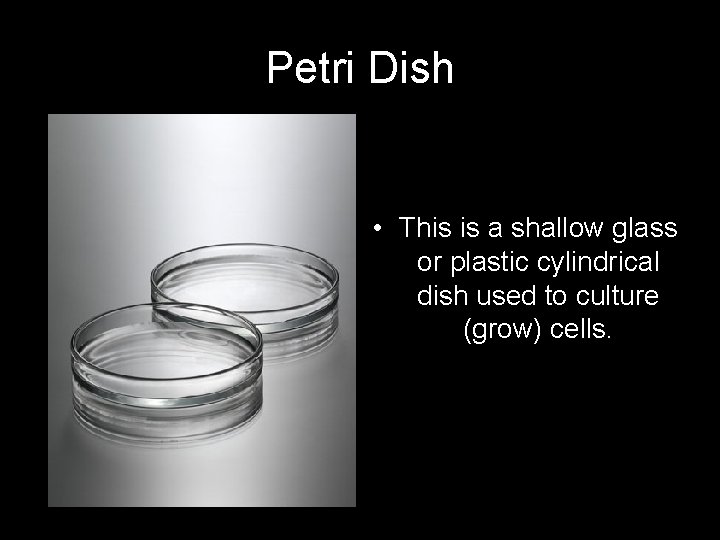 Petri Dish • This is a shallow glass or plastic cylindrical dish used to
