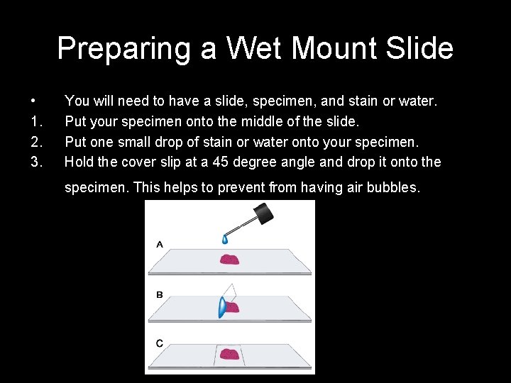 Preparing a Wet Mount Slide • 1. 2. 3. You will need to have