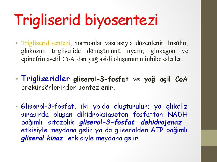 Trigliserid biyosentezi • Trigliserid sentezi, hormonlar vasıtasıyla düzenlenir. İnsülin, glukozun trigliseride dönüşümünü uyarır; glukagon