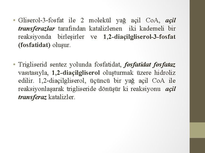  • Gliserol-3 -fosfat ile 2 molekül yağ açil Co. A, açil transferazlar tarafından