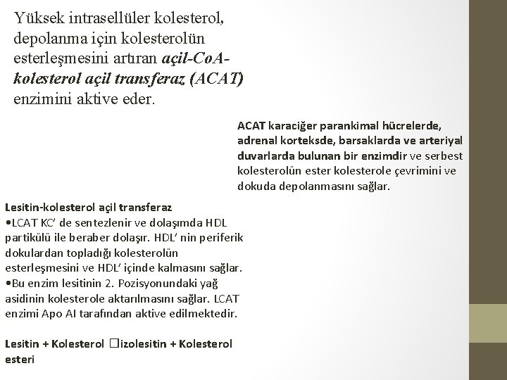 Yüksek intrasellüler kolesterol, depolanma için kolesterolün esterleşmesini artıran açil-Co. Akolesterol açil transferaz (ACAT) enzimini