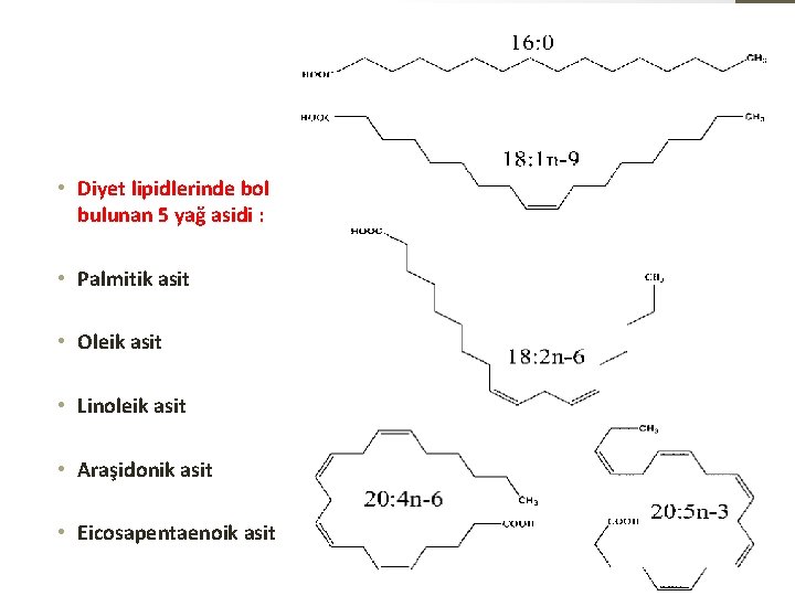  • Diyet lipidlerinde bol bulunan 5 yağ asidi : • Palmitik asit •