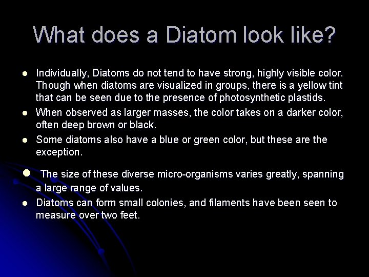 What does a Diatom look like? l l l Individually, Diatoms do not tend