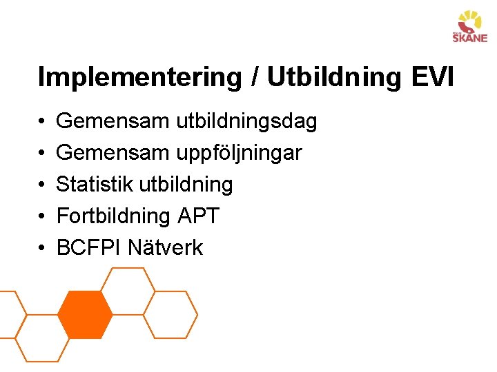 Implementering / Utbildning EVI • • • Gemensam utbildningsdag Gemensam uppföljningar Statistik utbildning Fortbildning