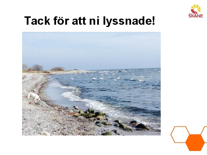 Tack för att ni lyssnade! 