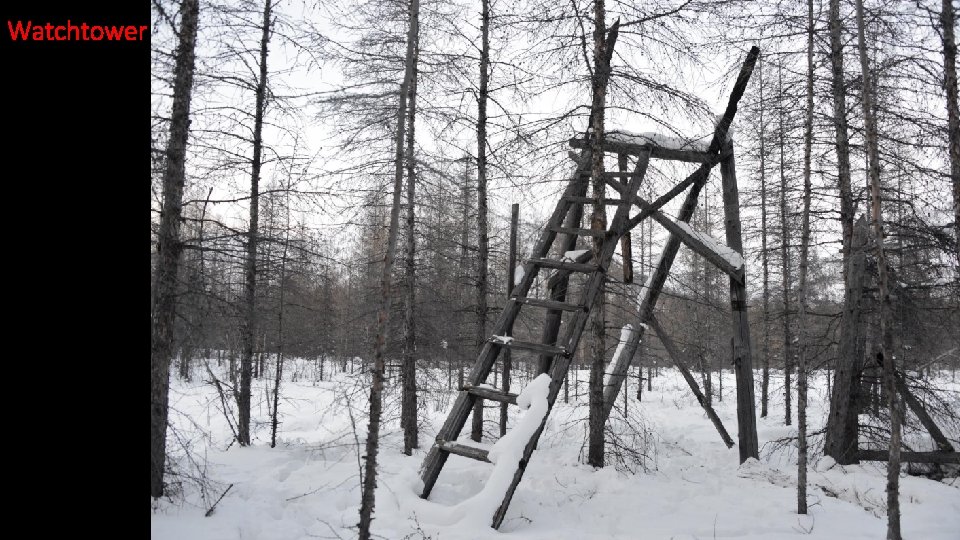 Watchtower 