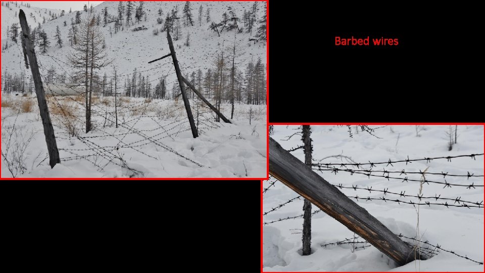 Barbed wires 