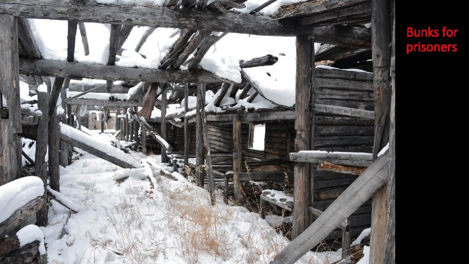 Bunks for prisoners 